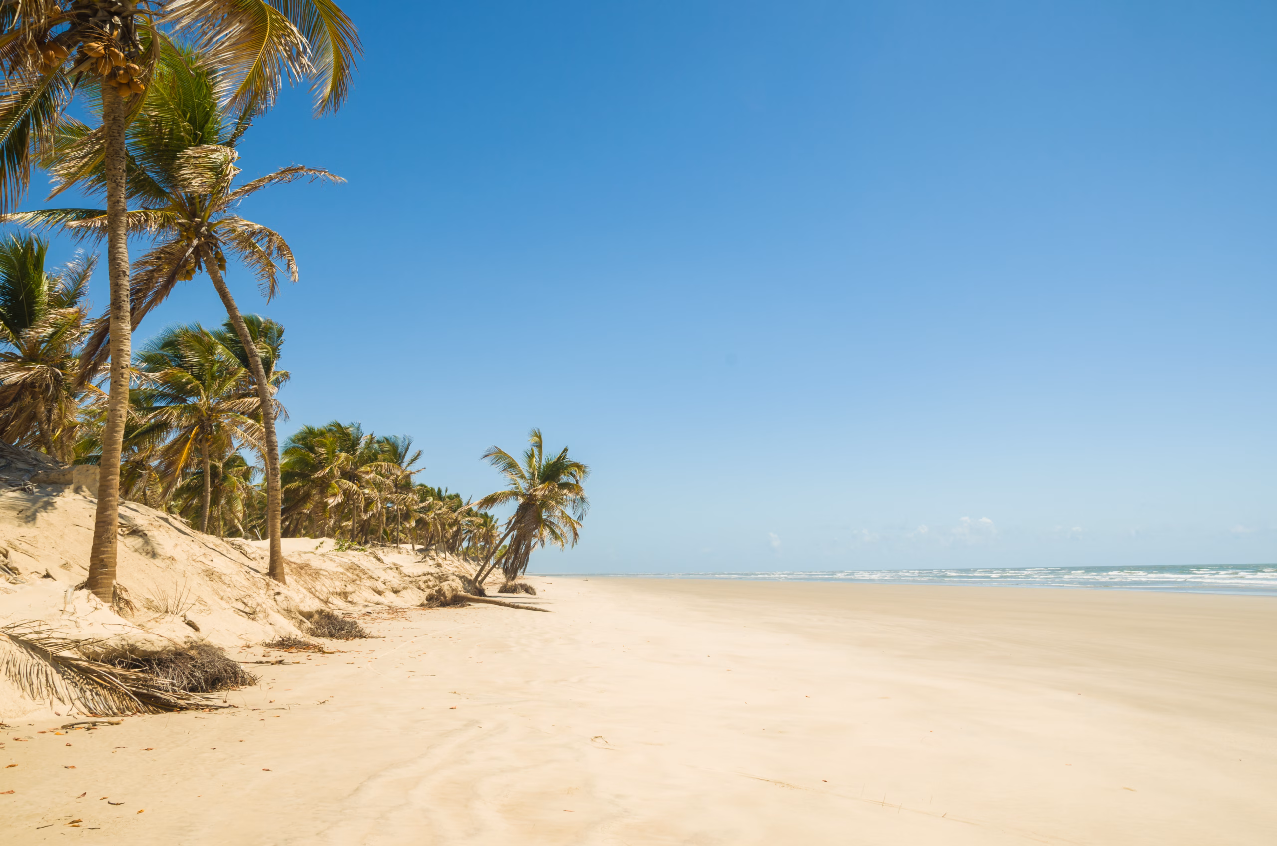 Searcher Completes Phase 3 of Pelotas Basin Project